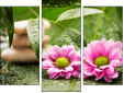 Trittico