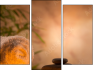 Trittico