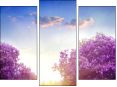 Trittico