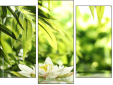 Trittico