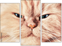 Trittico