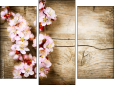 Trittico