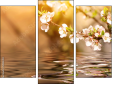 Trittico