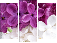 Trittico