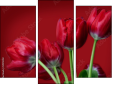 Trittico