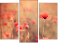 Trittico
