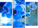 Trittico
