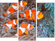 Trittico