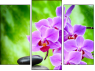Trittico