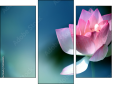 Trittico