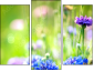 Trittico