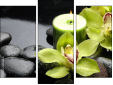Trittico