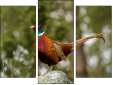 Trittico
