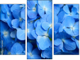 Trittico