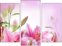 Trittico
