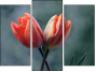 Trittico