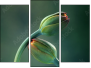 Trittico