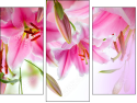 Trittico