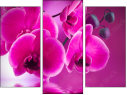 Trittico