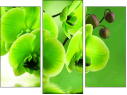 Trittico