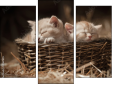 Trittico