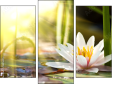 Trittico