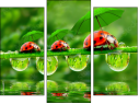 Trittico