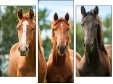Trittico