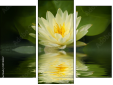 Trittico