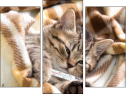 Trittico