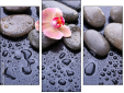 Trittico