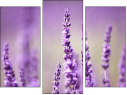 Trittico