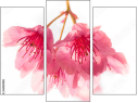 Trittico