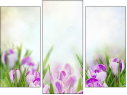 Trittico