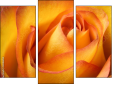 Trittico