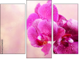 Trittico