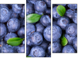 Trittico