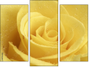 Trittico