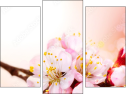 Trittico