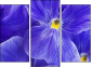 Trittico