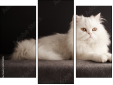 Trittico