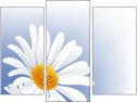Trittico