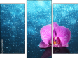 Trittico
