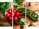 Trittico