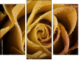 Trittico