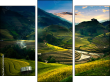 Trittico