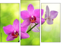 Trittico