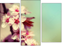 Trittico