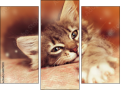 Trittico