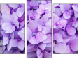 Trittico